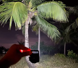 LED Pocket Keychain Torch-Lamp