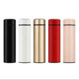 Water Bottle with Temperature Display